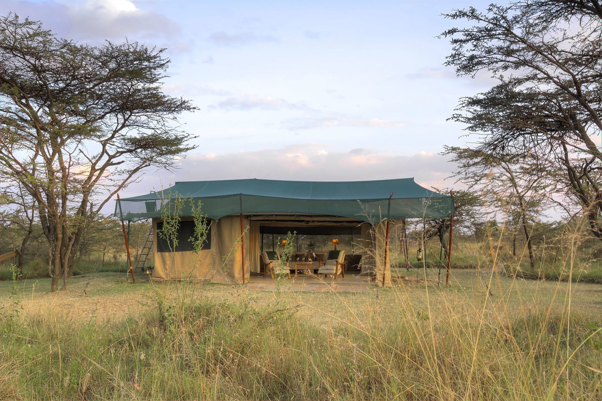 Kicheche Bush Camp Hotell Maasai Mara Eksteriør bilde